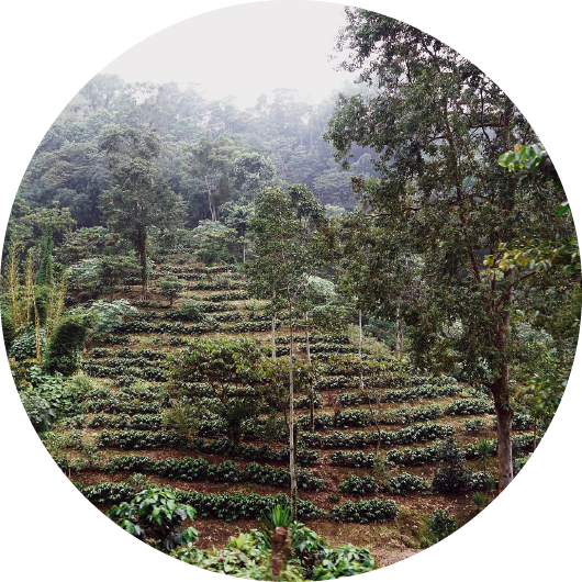 image of a farmer holding harvest